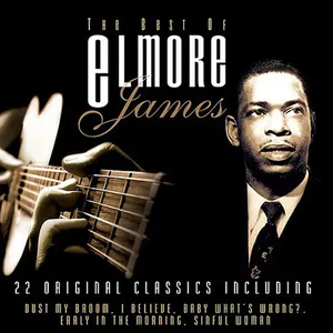 The best of Elmore James